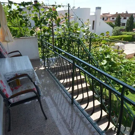 Koreni Rovinj